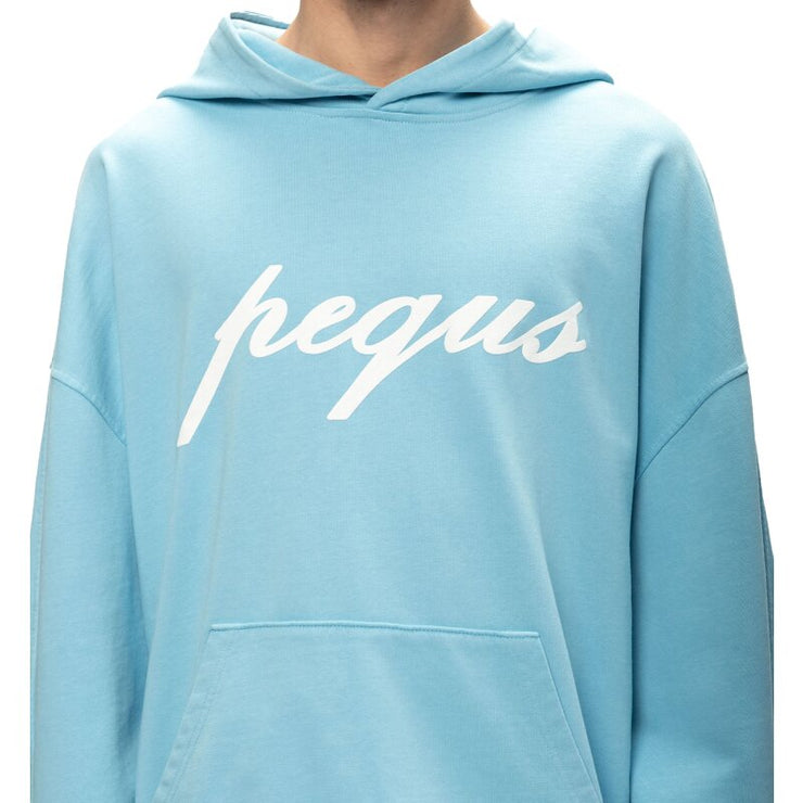 Pequs Logo Hoodie / dutch canal