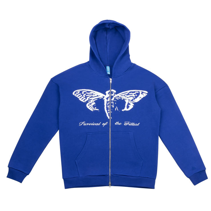 DIVENTION CICADA ZIP-HOODIE BLUE